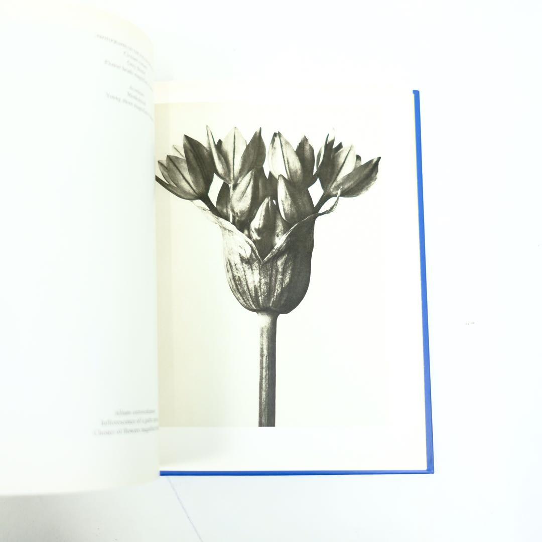 Karl Blossfeldt Taschen カール・ブロスフェルド　写真集
