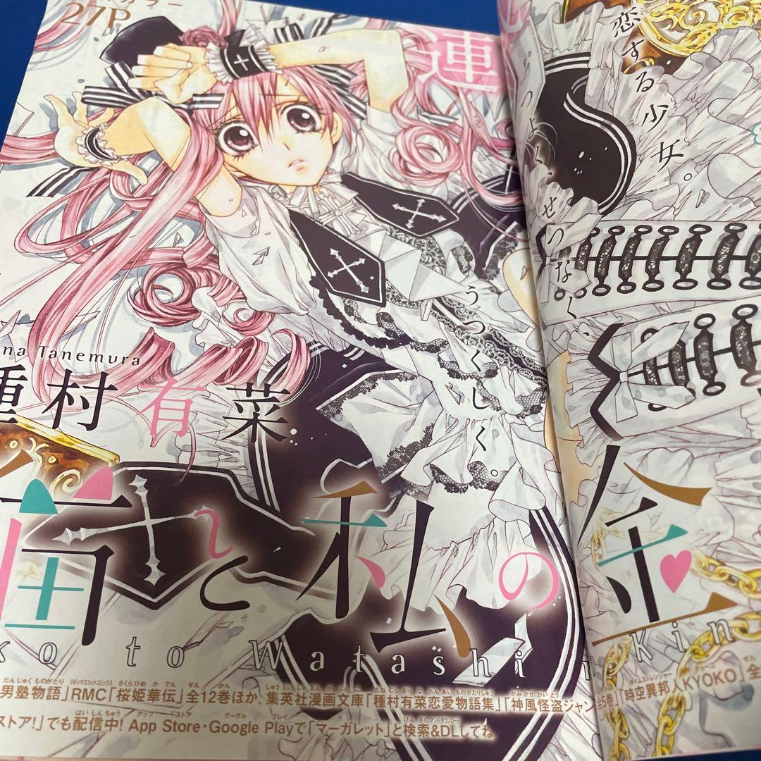 マーガレット2015年8号