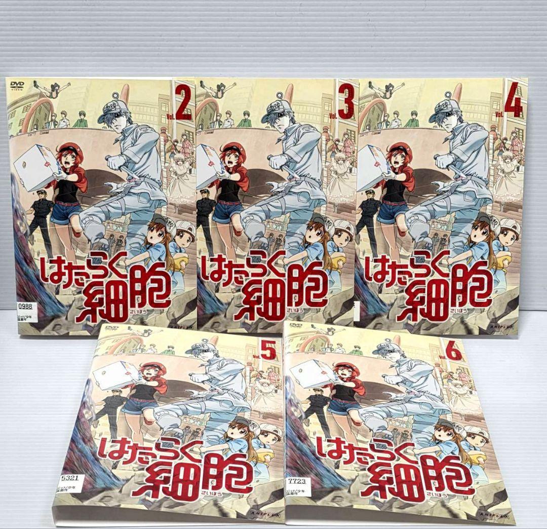 【新品ケース収納】はたらく細胞　DVD 1期+2期＋特別編　全12巻セット