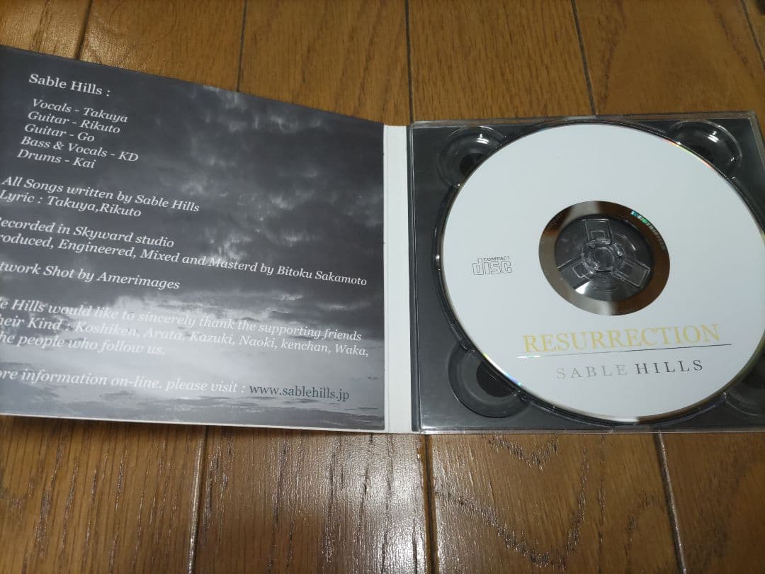 【廃盤、激レア】RESURRECTION/Sable Hills