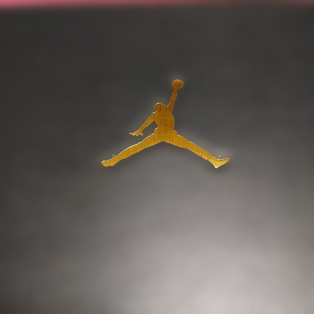 最終値下 ナイキ NIKE JORDAN ACCESS 26.0cm