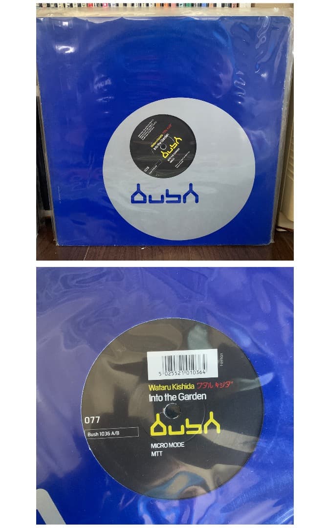 BUSH(UK) レコード13枚