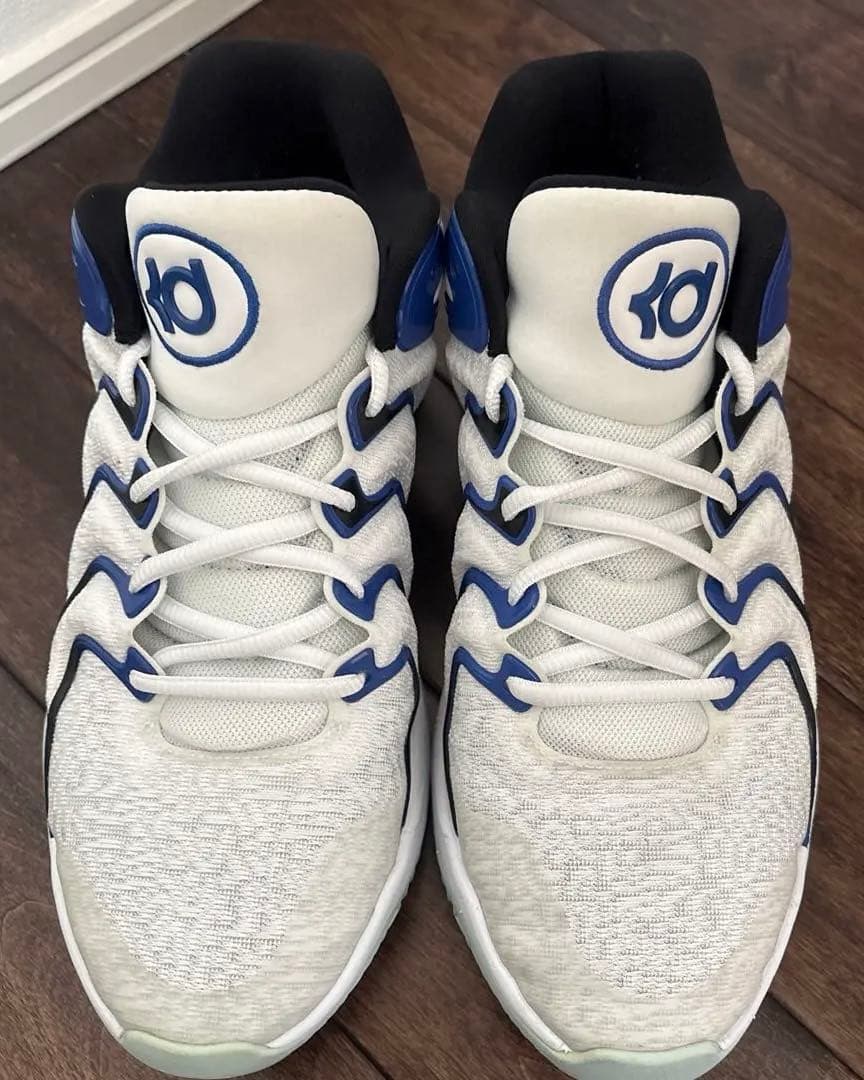 NIKE KD17 ペニーカラー　28cm
