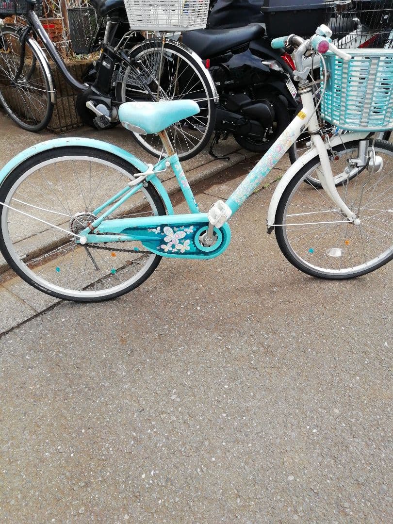 ブリヂストン子供用自転車　22インチ　エコパル