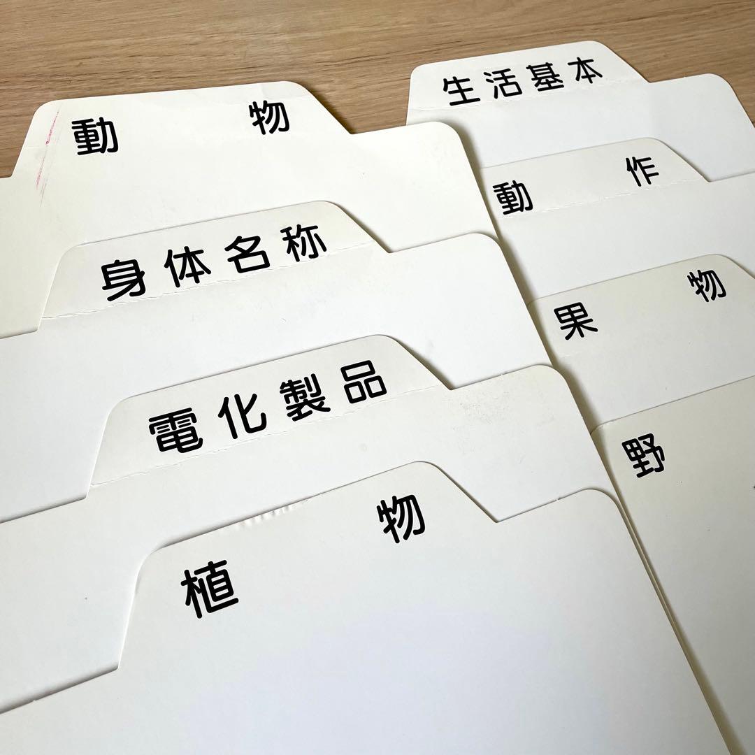 家庭保育園 絵カード たのしい絵カード1500 A・B・C・CD 七田式 受験
