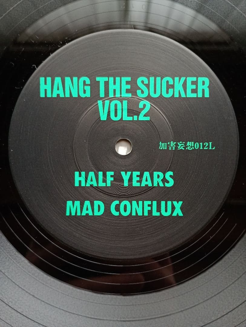 希少アナログ HANG THE SUCKER Vol.2 パンク ジャパコア