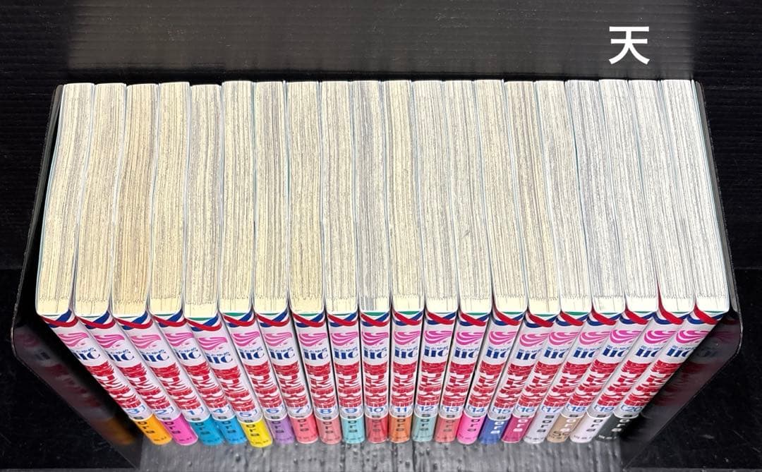 墜落JKと廃人教師 1-20巻 全巻 花とゆめ 付録