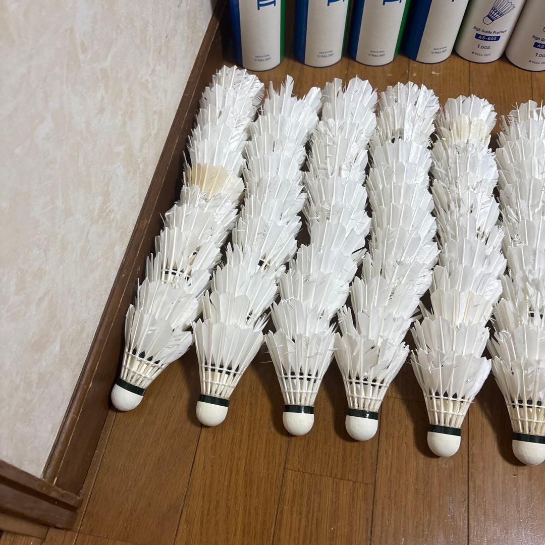 バドミントン10ダース120球ノック、基礎打ち用