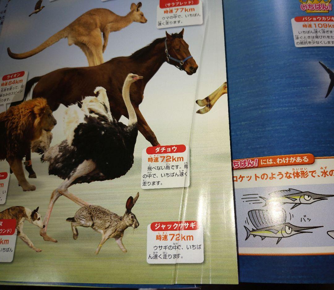 図鑑 & 事典 まとめ売り 20冊セット 小学生