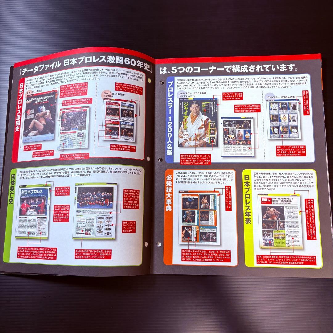 データファイル　日本プロレス　激闘60年史　２８冊　まとめ売り　週刊プロレス