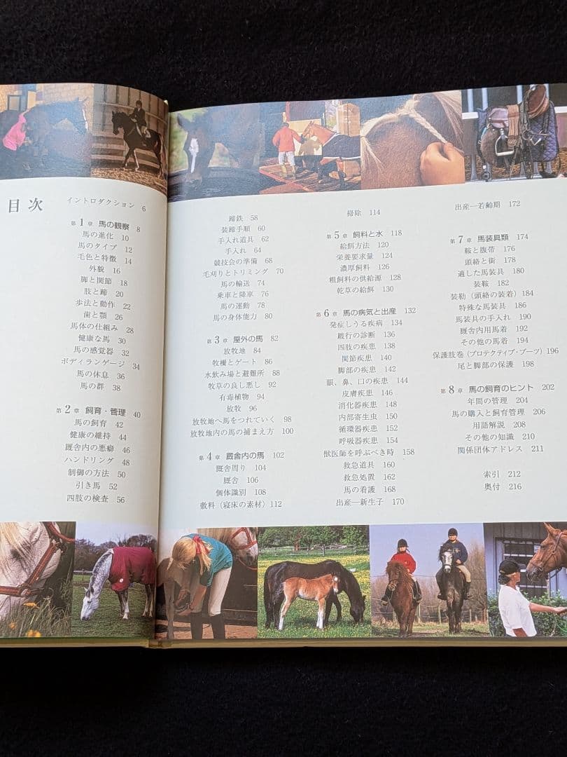 馬を飼うための完全ガイド　改訂版　飼育　管理　馬装具　手入れ　厩舎　掃除　病気