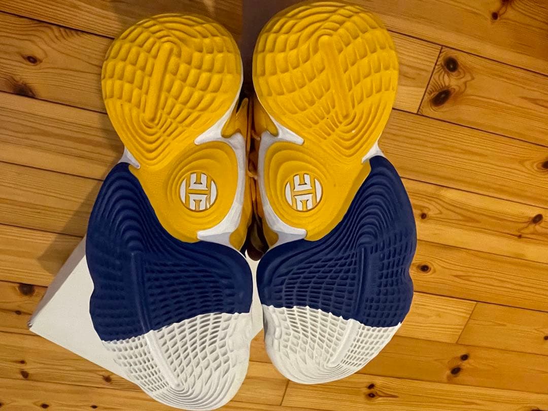 シューズ(男性用) harden4 25cm