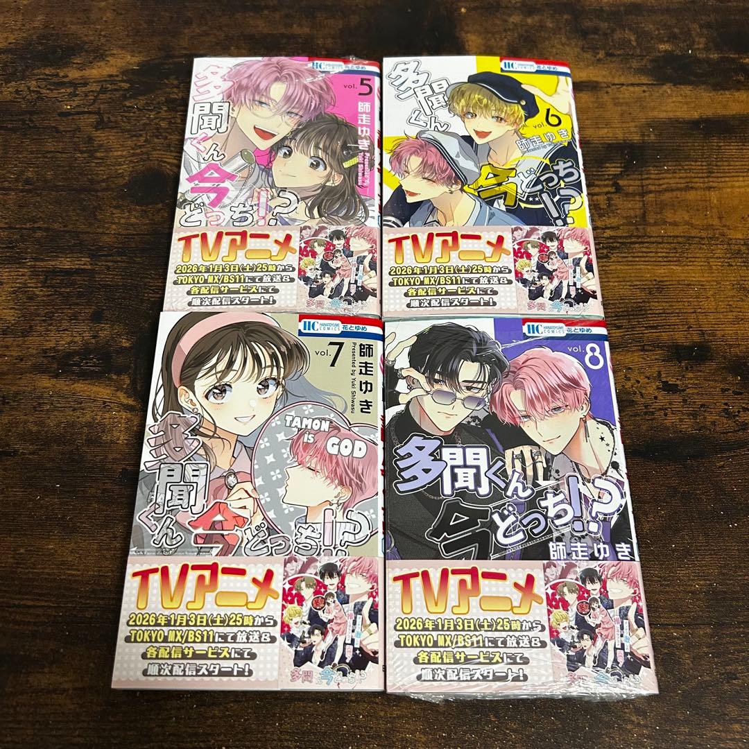 【新品・未読】多聞くん今どっち！？ 全巻セット　花とゆめ　白泉社　③