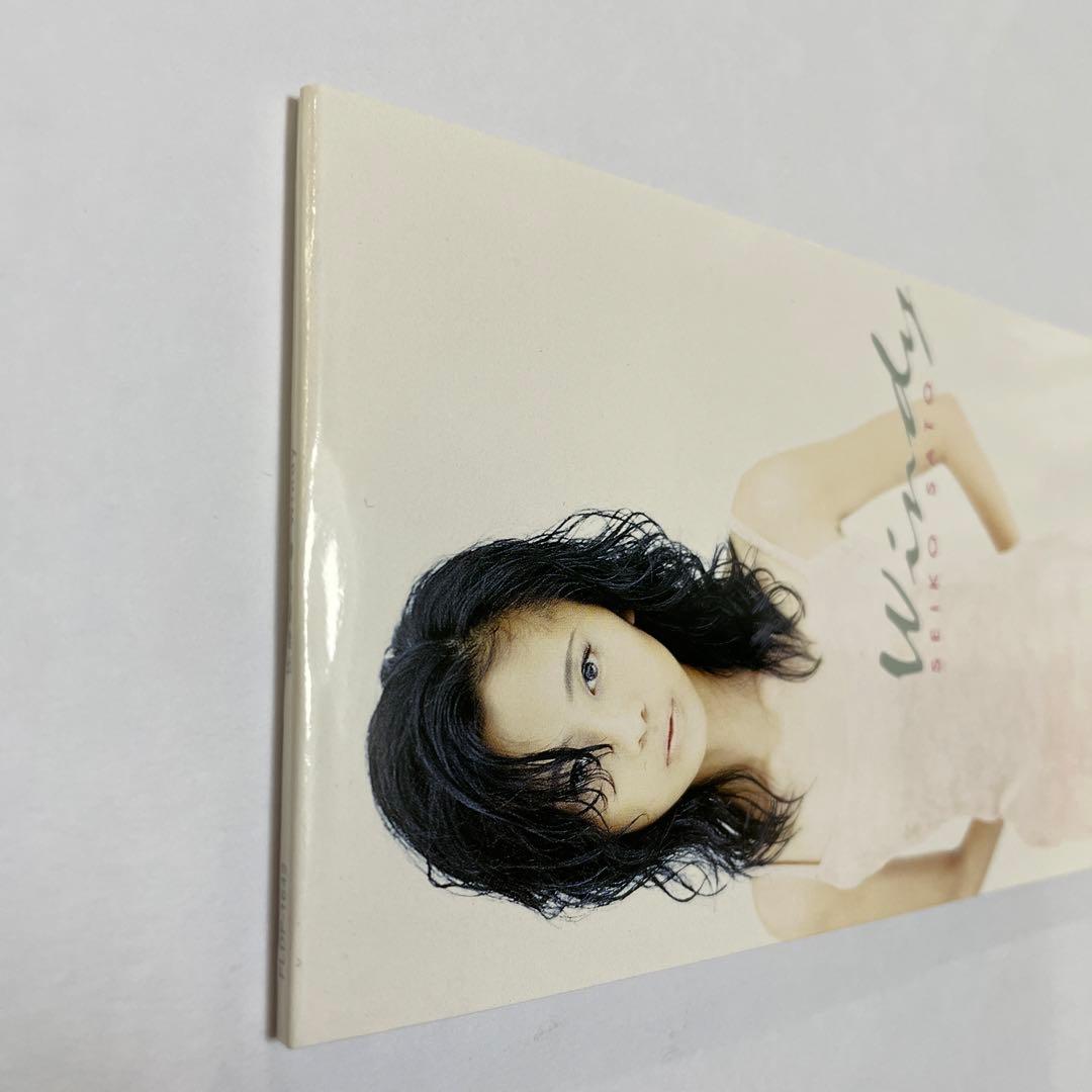 佐藤聖子/Windy