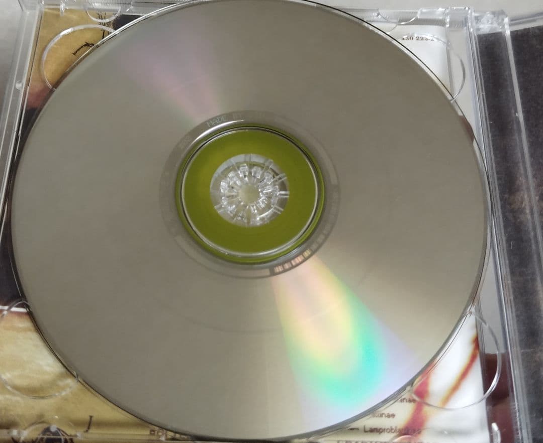 PAPAROACH INFEST BONUS DISC EDITION 輸入盤
