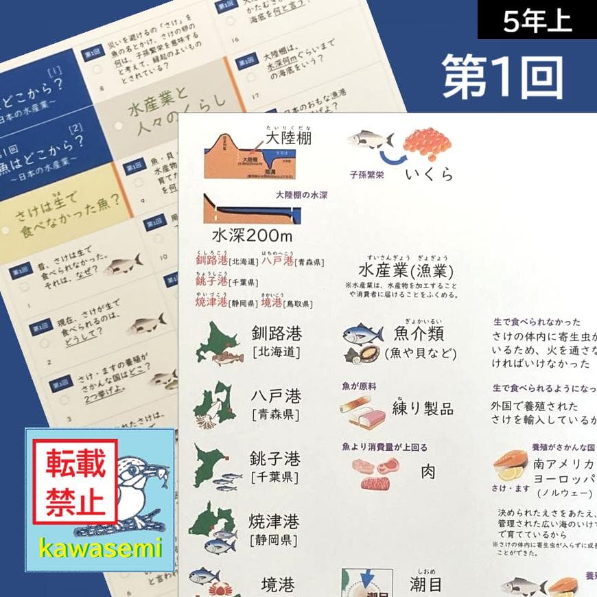 カット済【中学受験】予習シリーズ 社会 5年上(第1-4回) 地理 暗記カードb