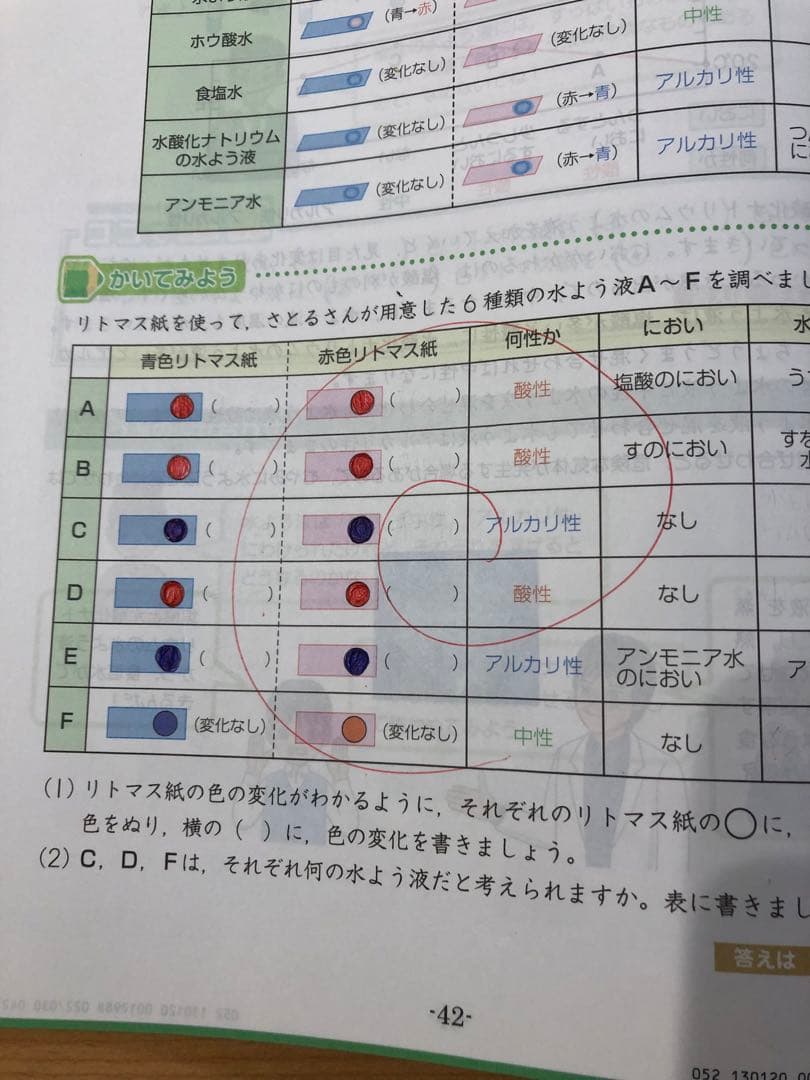 Z会 エブリスタディ6年生1年分2020年 4月号〜2021年2月号 4教科