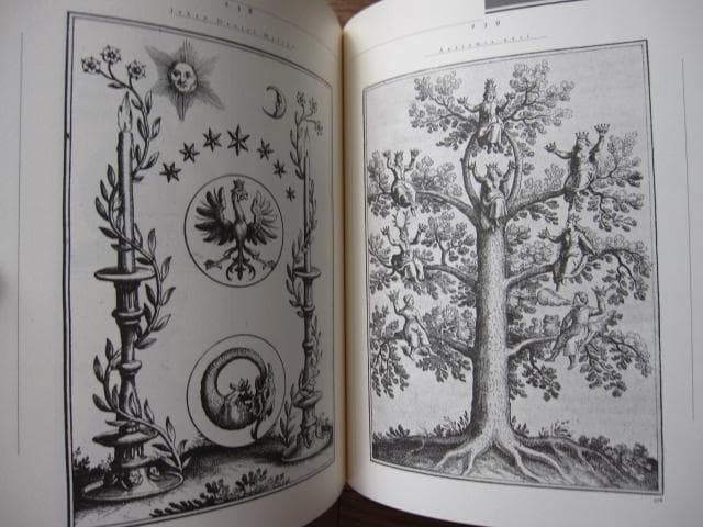 錬金術図像大全　Stanislas Klossowski De Rola