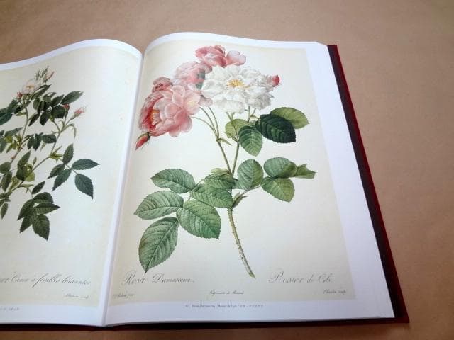 ★ 「Les Roses バラ図譜」 豪華愛蔵版 ピエール=ジョゼフ・ルドゥーテ