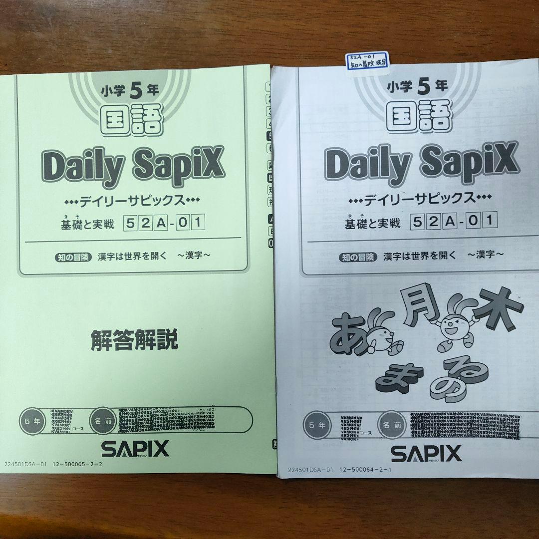 サピックス　SAPIX 小学5年1年分 国語 教材セット 欠番 なし　使用済み