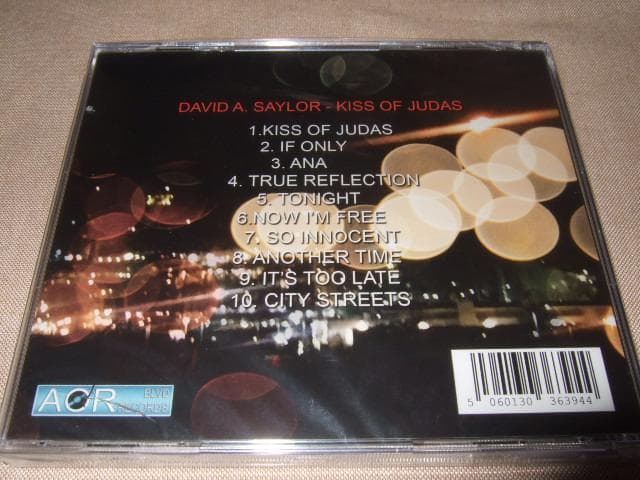 DAVID A SAYLOR,新品未開封,AOR,メロハー,AOR BLVD