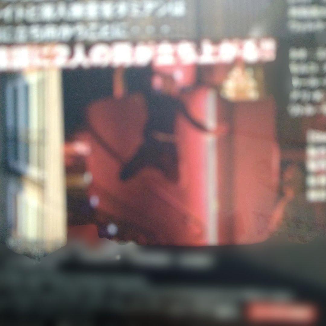 アルティメット2 DVDマッスル・ネバー・ダイジャケットケース付く