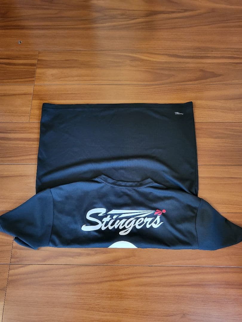 ジェイテクトStingers ビクターバドミントン