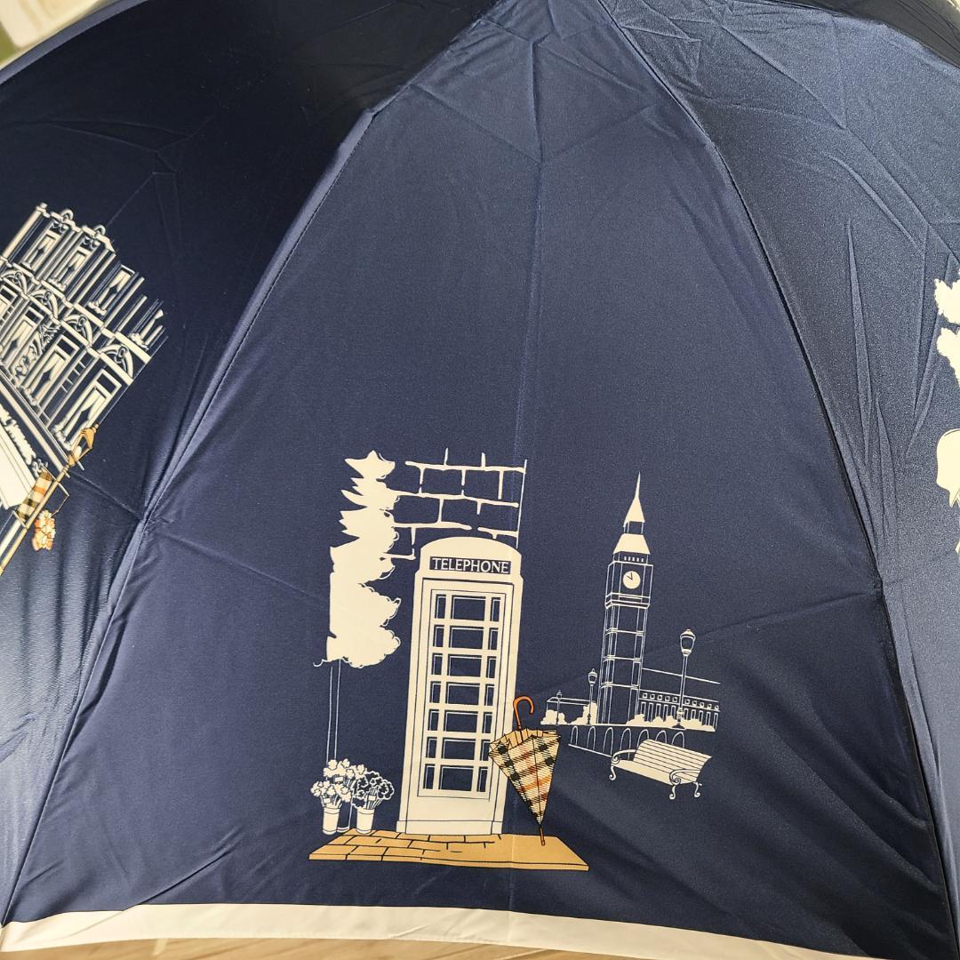 DAKS　ダックス　折りたたみ傘　雨傘　ムーンバット