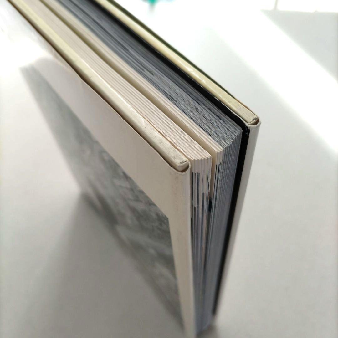 Dazed/Confused 写真集 作品集 洋書