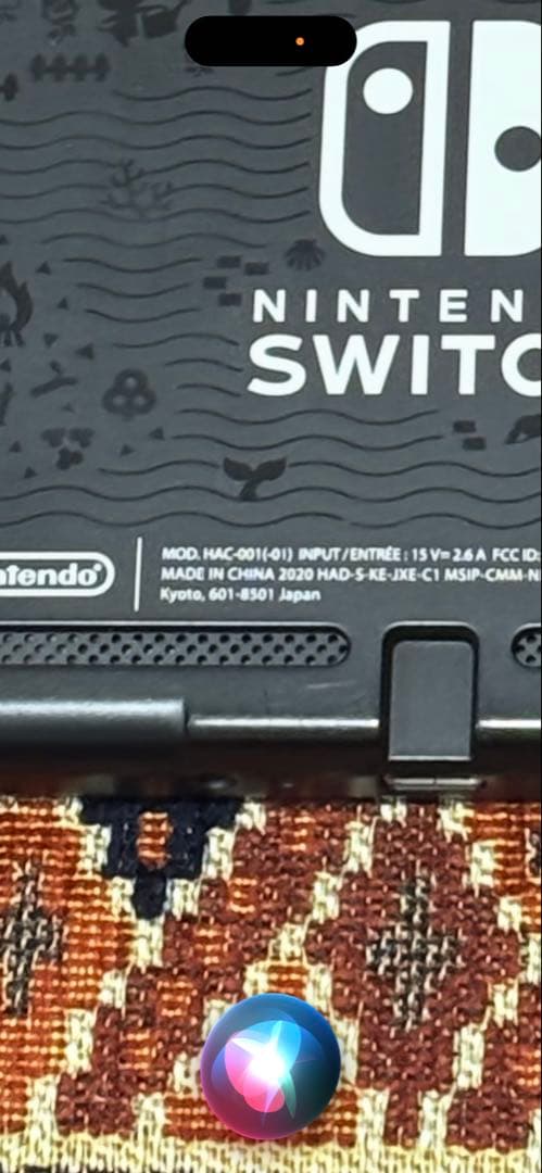 Nintendo Switch どうぶつの森セット 本体　Joy-Conなし