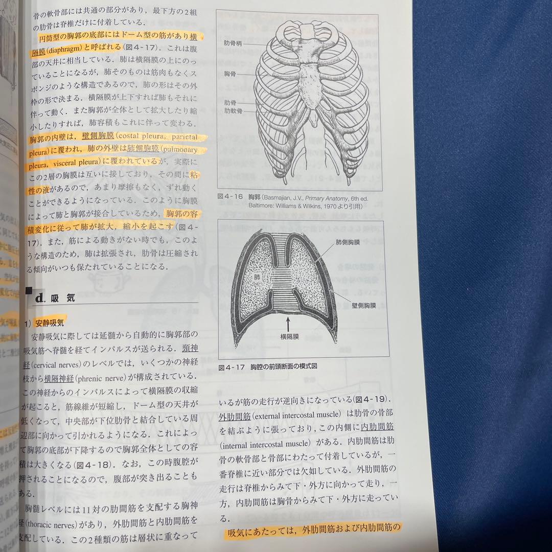 R⑤ 新ことばの科学入門 医学書院