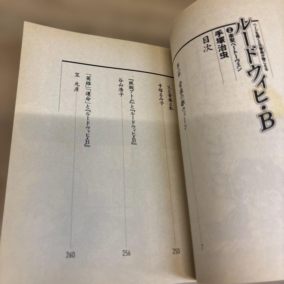 【値下】ルードウィヒ・B 少年ベートーヴェン 前編 後編 手塚治虫　2冊まとめて