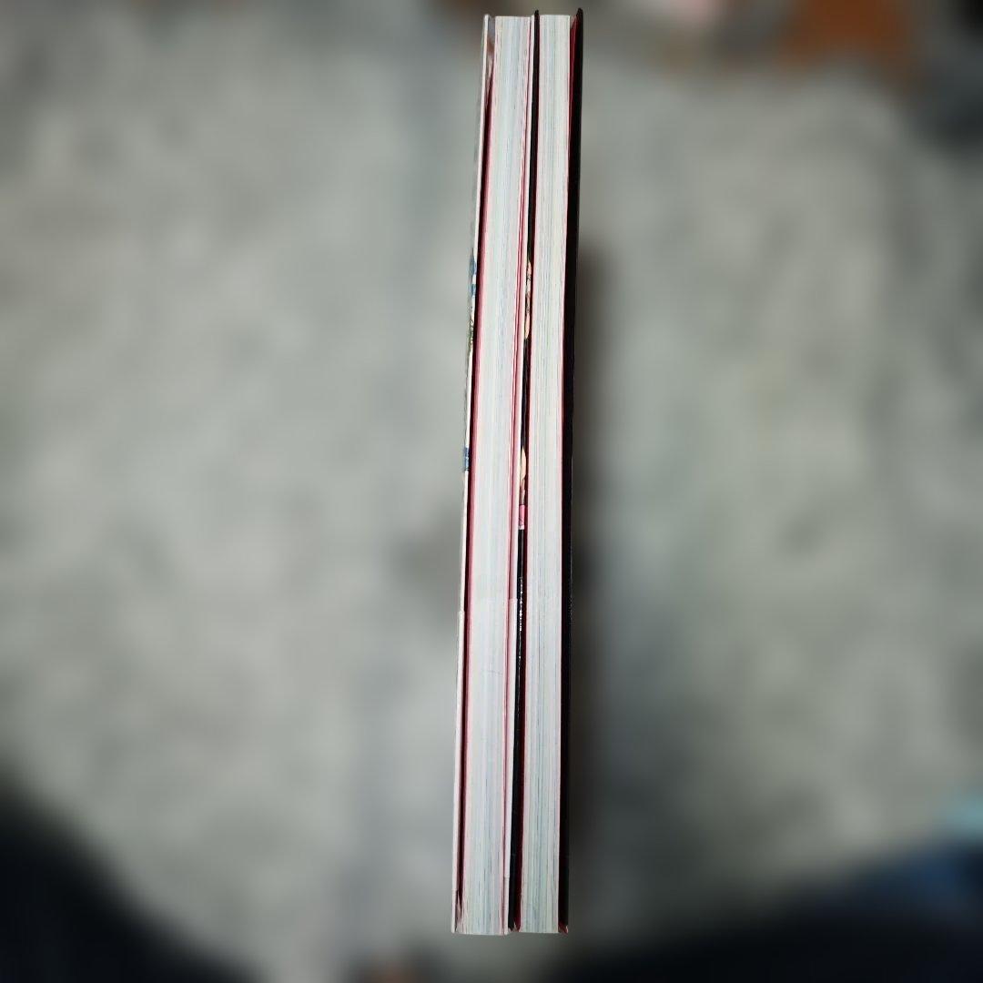 CLAMP展公式画集 COLOR SHIRO KURO 2冊セット