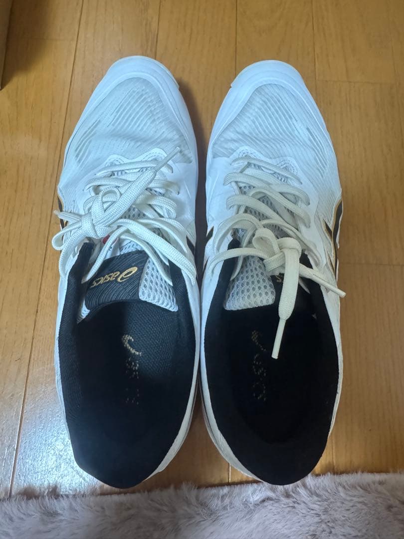 asics アシックス　ローテ ジャパン ライト FF 3 28センチ