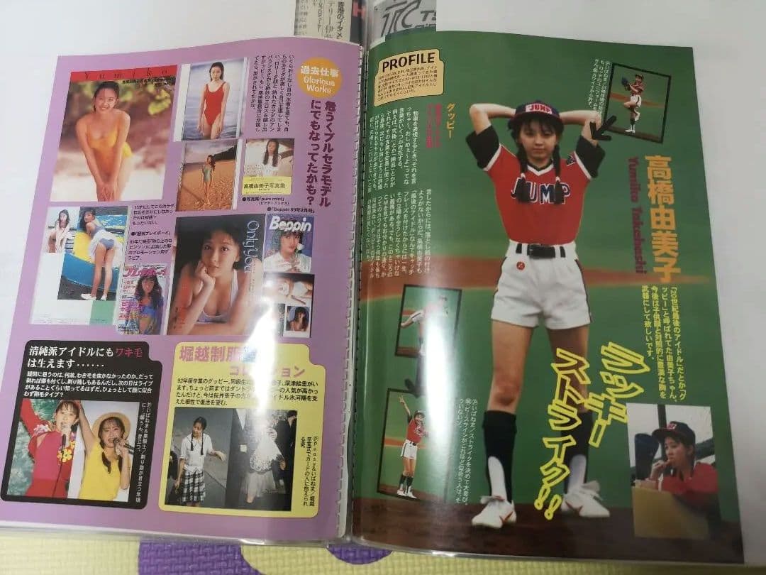 高橋由美子(1冊200円計算)144冊分約370ページ切り抜きしファイリング済み