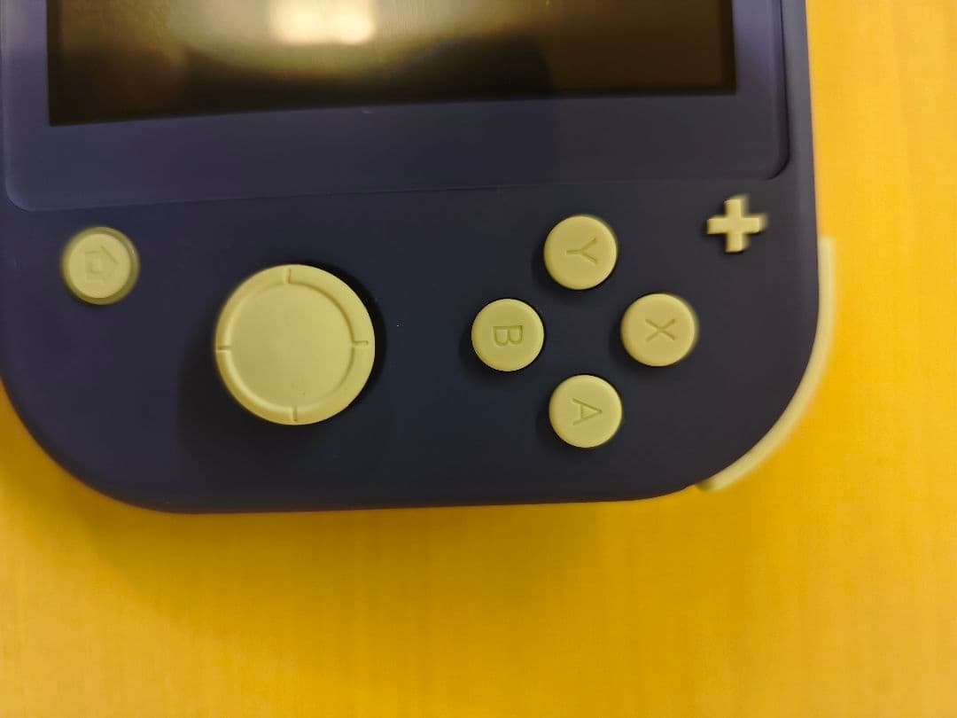 Nintendo Switch Lite ブルー本体＋ ケース＋ソフト2本セット