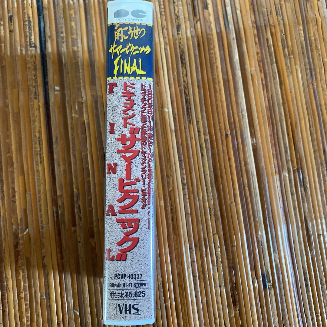 南こうせつ　サマーピクニックFINAL VHSテープ