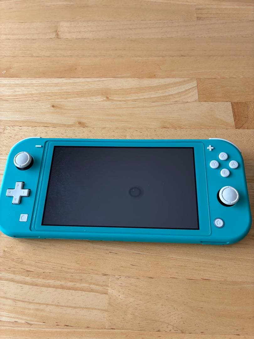 Nintendo Switch Lite ターコイズ　プレイ時間100時間