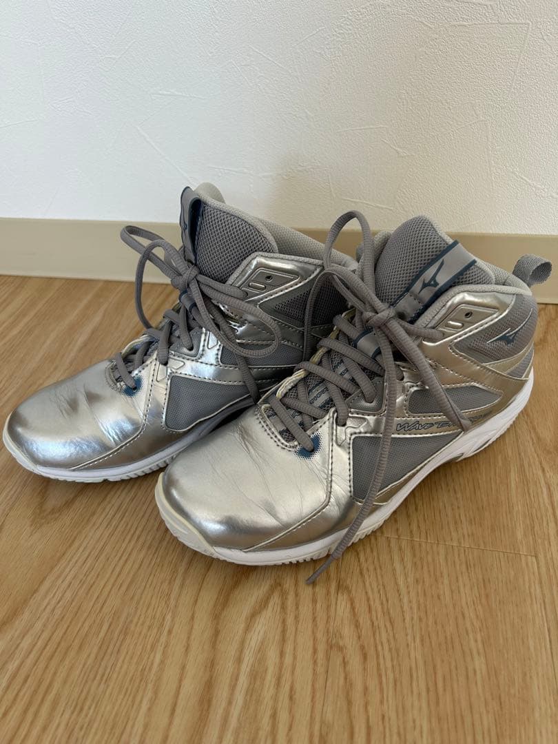 Mizuno ウェブダイバーズ　23cm シルバー ユーズドです。