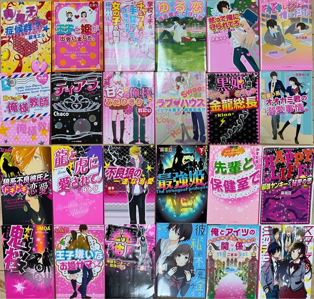 小説セット  野いちご