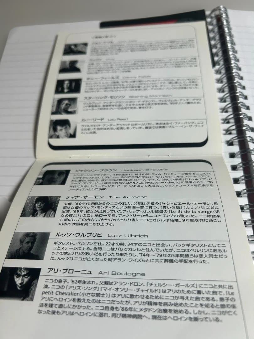 【希少・映画・日本語字幕】Nico/ニコ アイコン（Nico Icon）/DVD