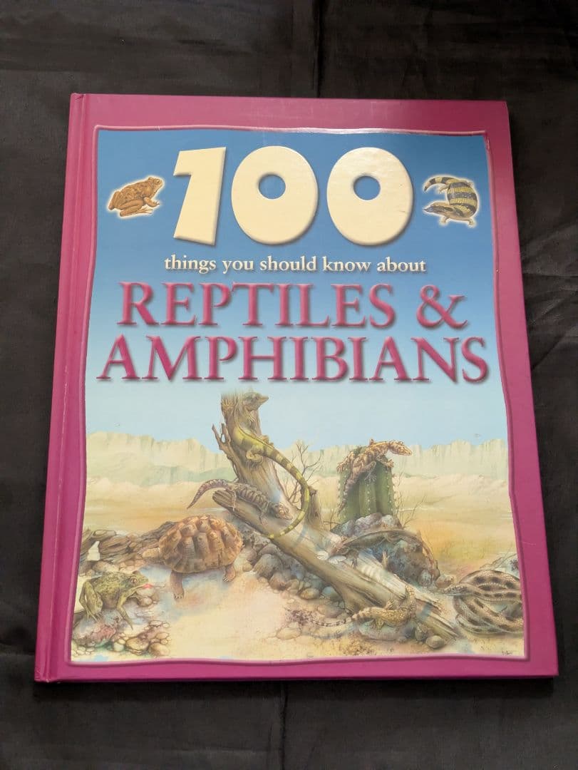 100 Things　英書　まとめ売り