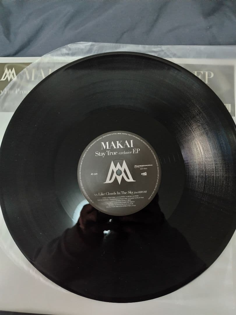 和ハウス レコード 11枚セット 12\"