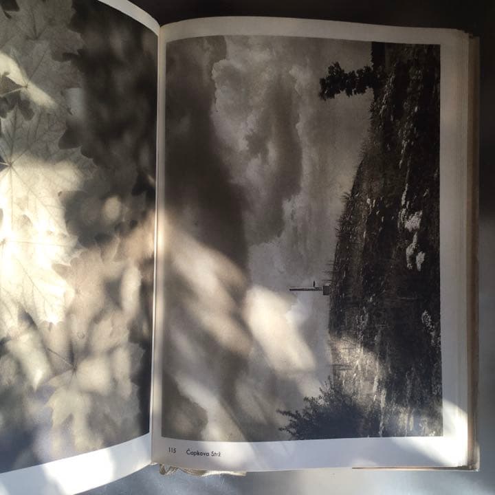 Josef Sudek Fotografie ヨゼフ スデック/ヨーゼフ スデク