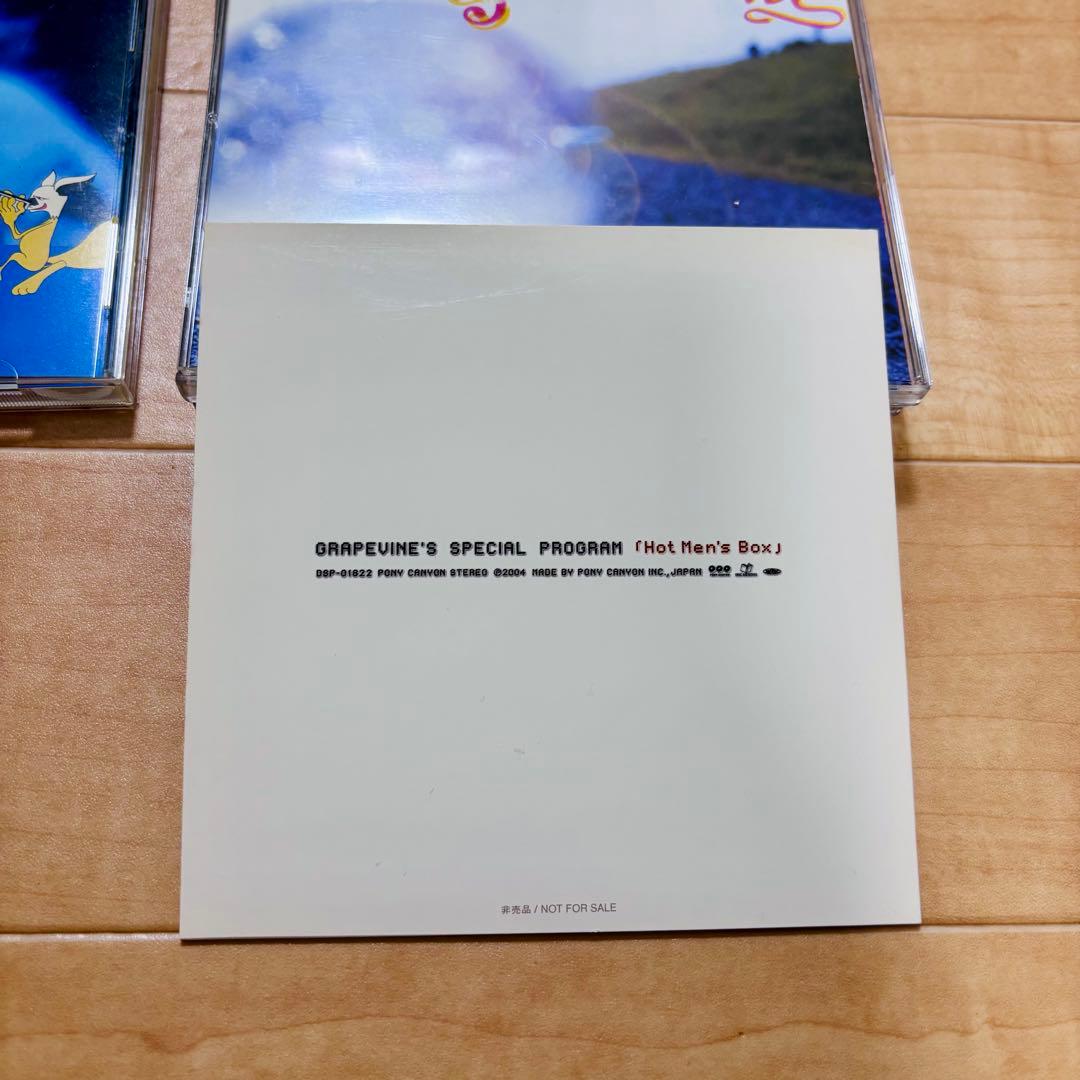 GRAPEVINE CD まとめ売り アルバム シングル ライブ おまけ？14枚