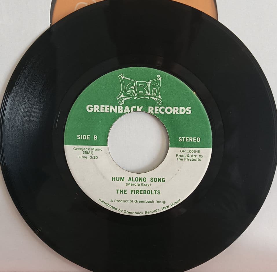 洋楽 the firebolts /everybody party 7inch