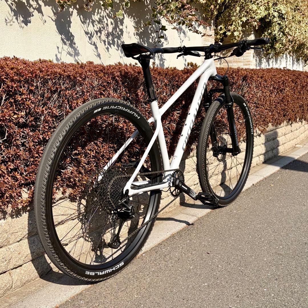 【手渡し限定】 Specialized Chisel HARDTAIL M