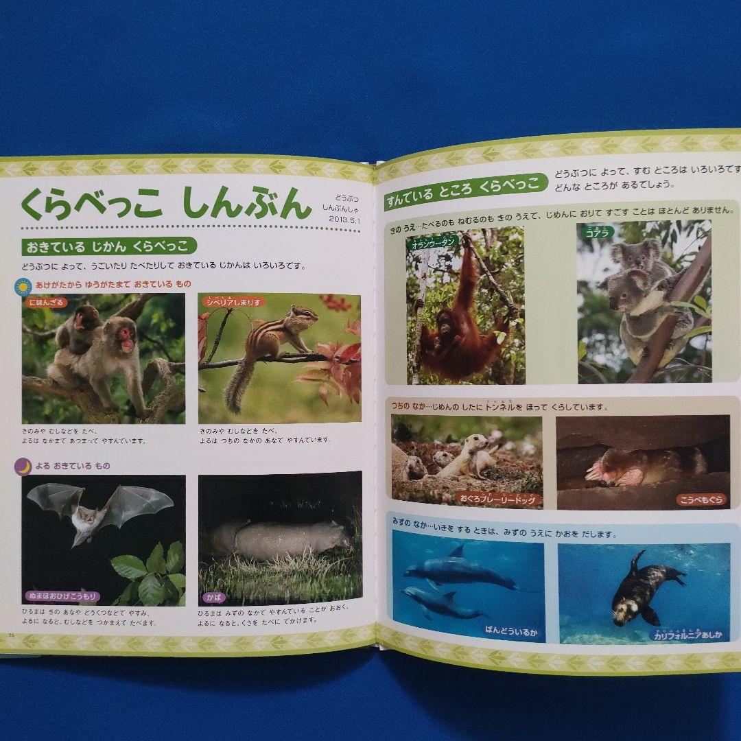 ビックサイエンス　キンダーブックしぜん　どうぶつ世界一　いきものチャンピオン