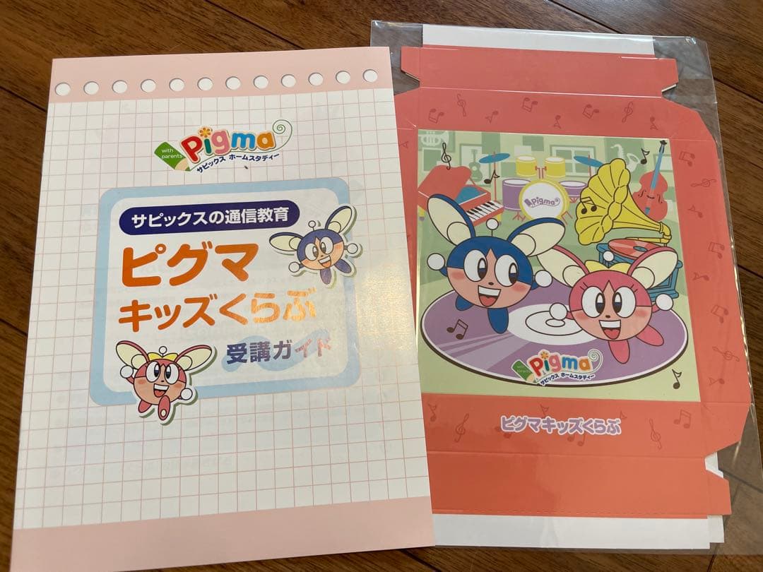 えり 【未記入】サピックス　ピグマ　2年生　通信