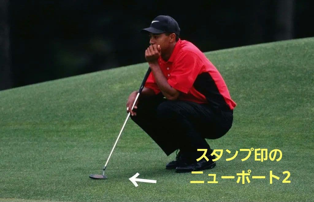 [超希少]スコッティキャメロン ニューポート2 Tel3 トレリウム 34インチ